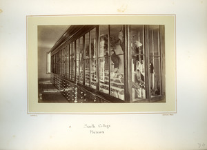 South College Museum, Massachusetts Agricultural College