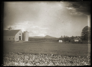 Hillside School: fields and barn (Greenwich, Mass.)