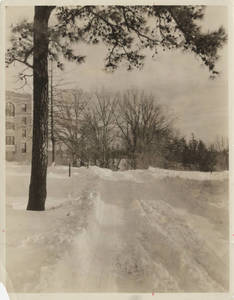 Wintry scene of Springfield College campus