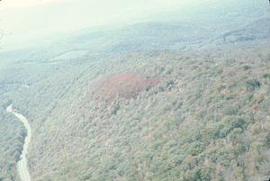 Aerial oblique view of heath bald in Southwestern section of HMF on 14 October 1971.