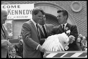 From left: Gov. Karl Rolvaag, Robert F. Kennedy, Walter Mondale, unidentified man, and turkey (bottom) at the Turkey Day festivities