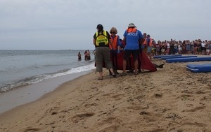 International Fund for Animal Welfare volunteers begin to lift dolphins off their mats to carry them to the water, with crowd looking on