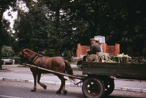 Farmer driving horse and wagon