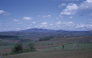 Cultivated fields around Orašac road