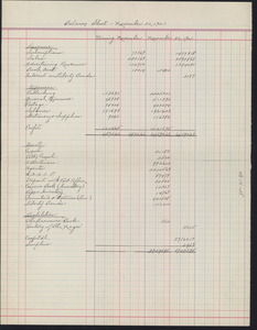 Balance sheet for November