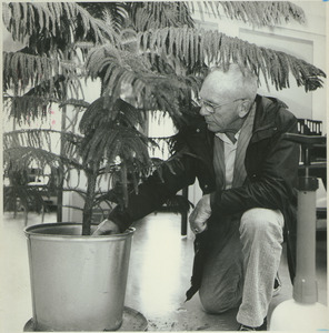Leon Dunnell, indoors, working with plant