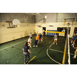 Group of players in a volleyball game