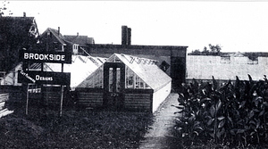 R.L. Pitman's Brookside Greenhouse, circa early 1900s