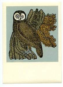 Owl