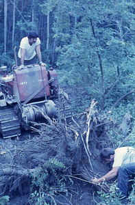 Moon Barn site preparation at entrance of Hopkins Forest. Bertrand "Frenchie" Lavoie (on bulldozer on left) and Peter Jensen (Class of 1971 on right) involved in root removal.