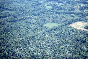 Aerial oblique view of Bulkley Street and southeastern Hopkins Forest on 14 July 1971.