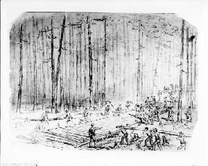 Corduroy Road near the Weldon Railroad (Siege of Petersburg)