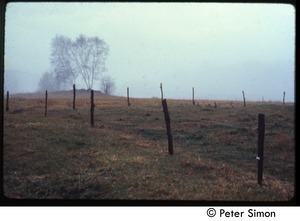 Fields and fence in the mist, Tree Frog Farm Commune
