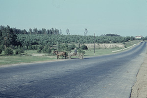 Horse and wagon on a road