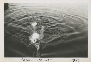 Bernice Kahn swimming