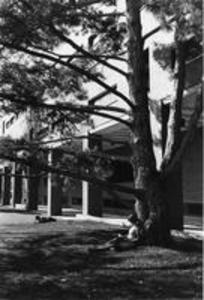 Students study outside Sawyer Library