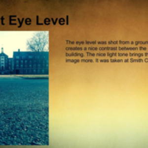Smith Quad at eye level