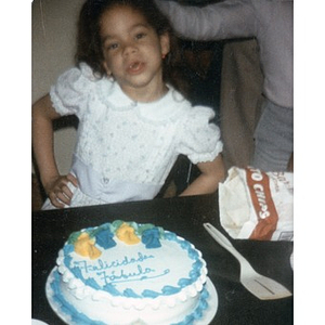 Little girl standing behind a table with a cake on it.