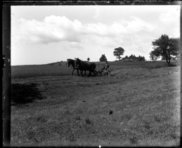 Willie Messer + Mowing Machine