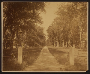 Driveway of the Josiah Quincy House, Quincy, Mass., undated