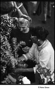 Robert Kennedy and Kenneth Keating campaigning in Riverdale: Andrea Simon (r) and unidentified woman arranging flowers