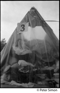 Clear plastic tent in the rain, filled with clothing, at Resurrection City