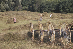 Villagers haying