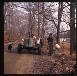Tractor collecting sap buckets during sugaring, Montague Farm Commune