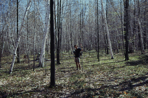 Leigh H. Perkins, Jr., '75 standing at the fence line between the Hopkins pasture in foreground [dominated by red maple (Acer rubrum)] and the Rye Lot in the background [dominated by paper birch (Betula papyrifera)].