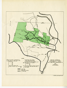 Hopkins Memorial Experimental Forest
