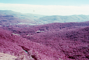 Color image of Mt. Greylock to Brodie Mountain Ridge from permanent plot 1205. False Color Infrared/True Color Project.