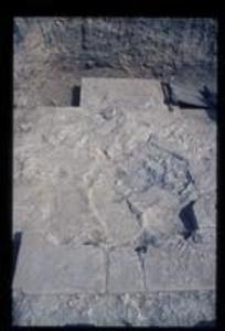 Trench 14, 1972