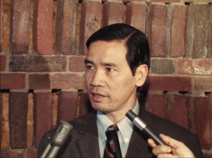 Van Dinh, Ambassador