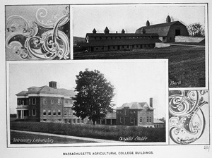 Collage of buildings at the Massachusetts Agricultural College