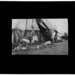 Dog in front of Major Osgood's tent