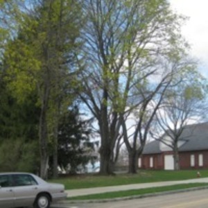 Street and pedestrian crossing