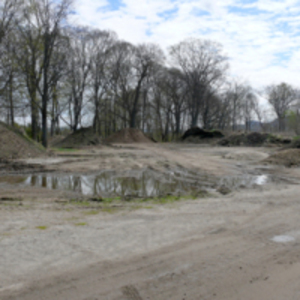 Former arboretum, Lyman Estate.