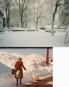 Blizzard of '78