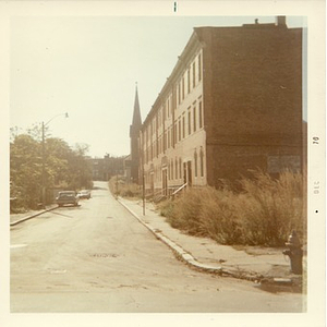 An overgrown street in Lower Roxbury