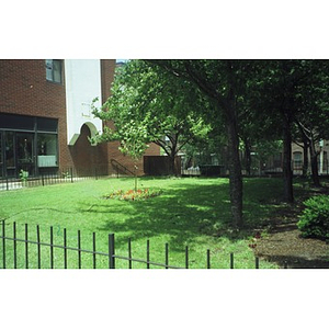 A small grassy park planted with trees.