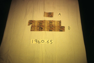 Bed Curtain Fragment