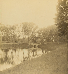 Stereo view, "Across the Vale from front of Lyman House toward Lyman St. Bridge," Waltham, Mass.