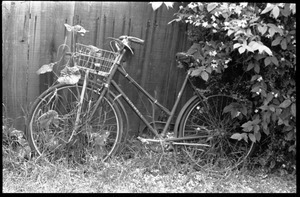 Bicycle in the weeds, leaning against a back yard fence