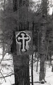 Hand-painted cross on plywood plank, mounted to a white pine in the woods