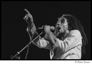 Bob Marley in concert