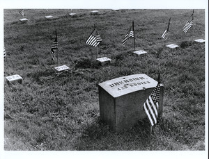 Unknown bodies, Gettysburg