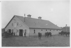 Barns - Horse Stables