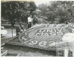 Three unidentified men working on a planting display for the Centennial on Boston Common