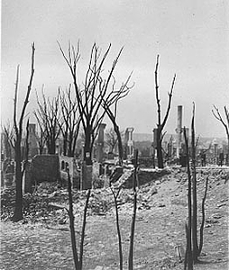Charred landscape created by the Great Salem Fire