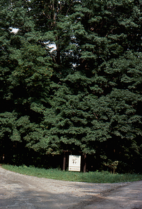 Hopkins Memorial Forest main entrance sign on Northwest Hill Road.